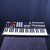Used Akai MPK49 49-Key Controller 49-Key 40123-S000129038 View 1