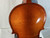 Used Cremona 3/4 STRADIVARIUS COPY VIOLIN Violin 3/4 Size 40012-S000301292 View 14