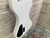 Used Eastwood RD ARTIST Electric Guitar 41112-S000096782 View 9