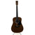 Used Harmony H106G 41119-S000035172 View 2