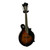 Used Savannah SF-100 Mandolin 40009-S000305069 View 1