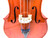 Used Cecilio CCO-100 3/4 CELLO Cello 3/4 Size 41124-S000203638 View 3