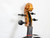 Violas 15" View 4