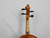 Violas 15" View 7