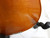 Violas 15" View 9