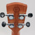 Used Alvarez GRATEFUL DEAD FILLMORE UKULELE Guitar - Other Custom Graphics 40081-S000111195 View 6