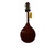 Used Washburn M-1S/TS Mandolin 40009-S000305329 View 4
