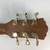 Used Washburn BTS24S-D-U BELLA TONO Solid Top Acoustic Guitar Other 41110-S000069341 View 8
