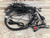 Used Walrus Audio PHOENIX CLEAN POWER SUPPLY 41112-S000096866 View 4