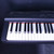 Used Yamaha P-125B W/PWR 88-Key Digital Piano 88-key 40123-S000129768 View 2