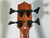 New Kala UBass Nomad +BAG Ukulele bass 40012-UBASS-NOMAD-FS View 8