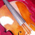 Used Cecilio 4/4 Cello 40042-S000257680 View 4