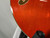 Used Ibanez AF75D-TOR-12-01 Semi-Hollow Electric Guitar Orange 6-String 40012-S000302211 View 13