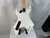 Used BC Rich WARLOCK REVENGE Pointy Electric Guitar White 6-String 40012-S000302251 View 7