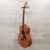 Used Taylor Gs Mini Mahogany Solid Top Acoustic Guitar Wood 40015-S000327266 View 5