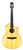 Used Taylor 114CE-N CLASSICAL ACOUSTIC/ELECTRIC Solid Top Acoustic Guitar Natural 41124-S000204209 View 1