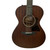 Used Taylor AD22E W/TAYLOR GIG Solid Top Acoustic Guitar Wood 40009-S000305890 View 2