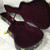 Used Martin Dreadnought Archtop Guitar Case 40051-S000115042 View 2