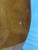 Used Yamaha F335 Acoustic Guitar 41127-S000057384 View 11