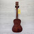 Used Makala MK-C CONCERT UKULELE Ukulele Wood 41124-S000204434 View 3