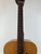 Used Maya Artist 7460 Vintage Acoustic Guitar 41127-S000057404 View 3