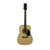Used Rogue RA090D-ENA Laminate Top Acoustic Guitar Natural 41120-S000033911 View 2