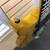 Used HARLEY BENTON DC-JR Double Cut Electric Guitar Yellow 6-String 41125-S000039259 View 5