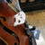 Used JOHN CHENG JGG75E Violin 4/4 Size 40105-S000076135 View 9