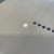 Used SQUIER CLASSIC VIBE 50S TELECASTER Electric Guitar 41106-S000093977 View 11