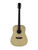 Used Amahi HSGT510 ACOUSTIC 41115-S000112933 View 2