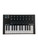 Used Arturia MINILAB MkII 25-Key Controller  41115-S000113009 View 1