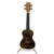 Used Alvarez Filmore Grateful Dead Ukulele View 1