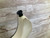 Used Ibanez GIO GR GA120 S Type Electric Guitar White 6-String 41112-S000097380 View 6