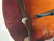 Used Weber GALLATIN F14 Mandolin 40012-S000303461 View 5