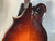 Used Weber GALLATIN F14 Mandolin 40012-S000303461 View 11