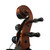 Used Eastman CONCERT 3/4 CELLO Cello 3/4 Size 40009-S000306688 View 13