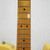 Used Squier Classic Vibe 50s Telecaster Electric Guitar 40042-S000259209 View 5