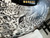 Used Takamine CUSTOM GRAPHICS TAKAMINE EG-334RC Laminate Top Acoustic Guitar Custom Graphics 40012-S000303965 View 7