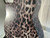 Used Takamine CUSTOM GRAPHICS TAKAMINE EG-334RC Laminate Top Acoustic Guitar Custom Graphics 40012-S000303965 View 17
