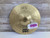 Used Meinl 10" HCS SPLASH Cymbal 41112-S000097499 View 1