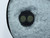 Used TRAVELITE CLASSICAL CASE Guitar Case 41124-S000205047 View 3