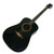 Used Ibanez PF-10BK DREAD Solid Top Acoustic Guitar 40090-S000079851 View 2