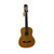 Used ASPANA CLASSICAL Laminate Top Acoustic Guitar Wood 40009-S000307035 View 1