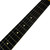 Used JACKSON-GULDAN VIOLIN CO. Lap Steel 40090-S000079916 View 10