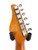 Used Schecter PT SPECIAL T-TYPE MIK 2023 T Type Electric Guitar Black 6-String 41124-S000205136 View 10