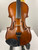 Used Palatino PALATINO VN350 4/4 VIOLIN W/CASE Violin 4/4 Size 41129-S000010475 View 3