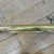Used Bach SOLOIST Vintage Trombone 40105-S000076275 View 6