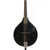 Used Rogue RM-100A Mandolin View 1