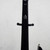 Used LTD SC207 Electric Guitar Black 7-String 40042-S000259893 View 13