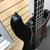 Used HARLEY BENTON PJ-4 P Type Bass Guitar Black 4-String 41125-S000039666 View 5